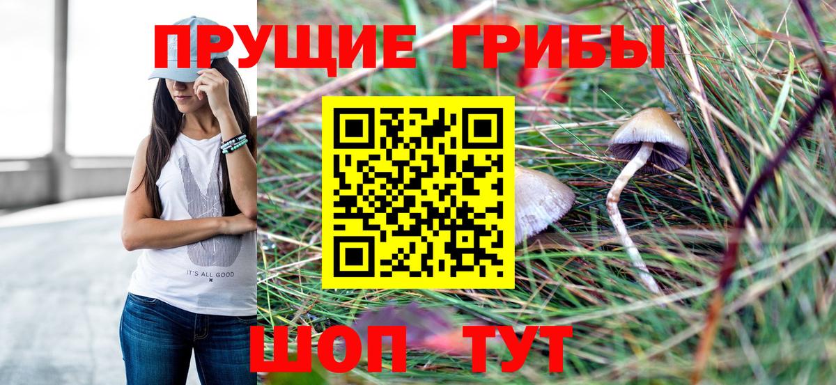Псилоцибиновые грибы ЛСД Иваново